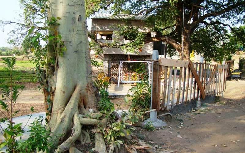 Morachi Chincholi Jai Malhar Krushi Paryatan Kendra, Pune 5